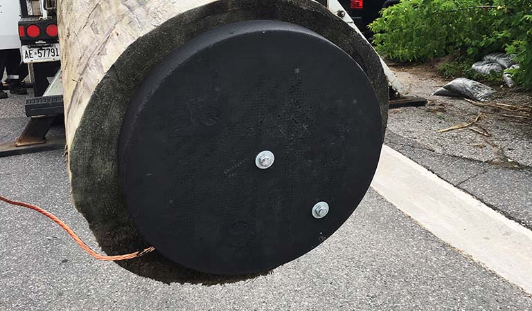 ConduDisc on pole