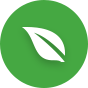 Leaf Icon