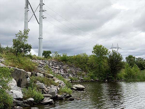 Electrical lines near water